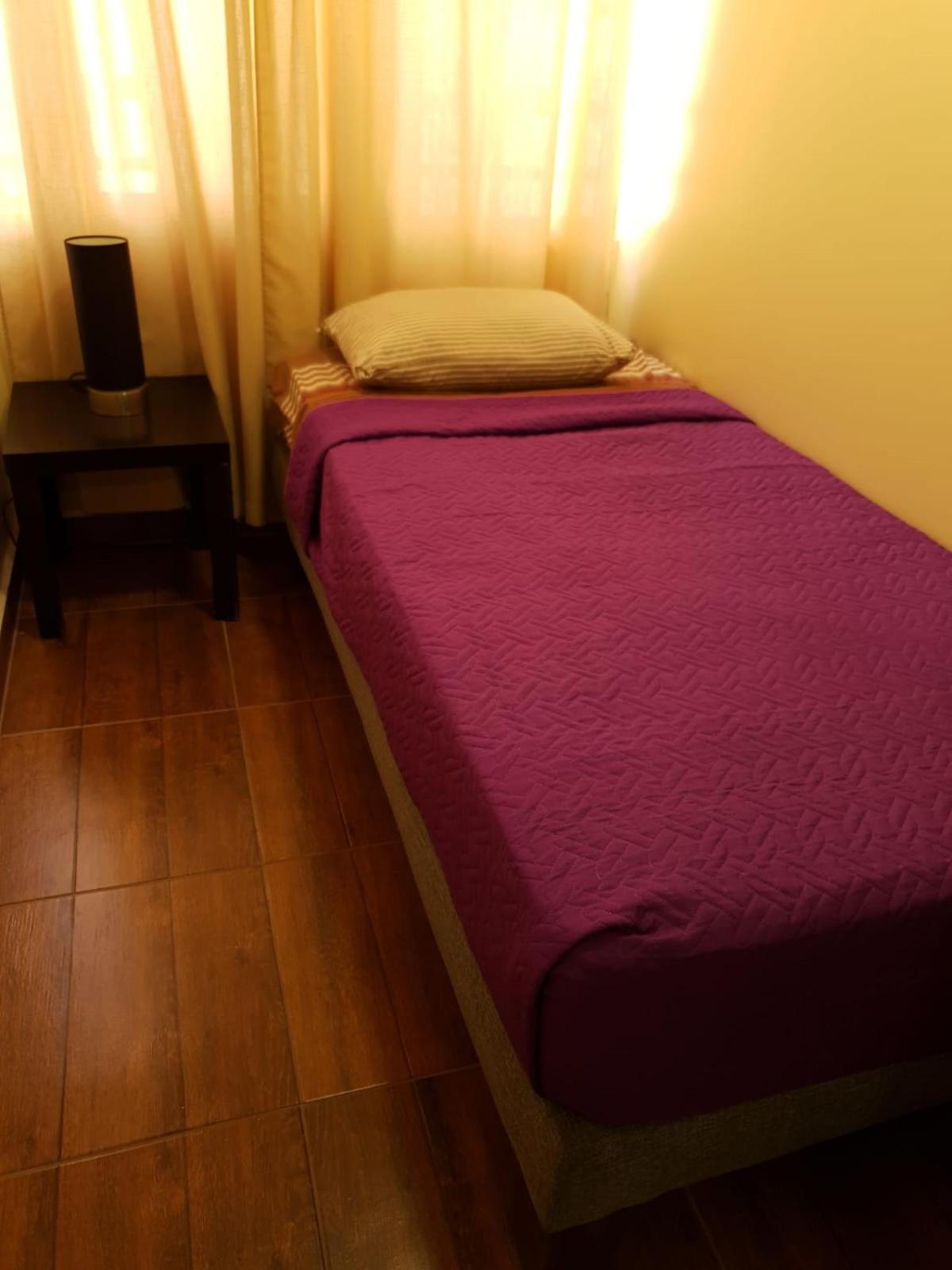 Departamento Centro R&M Apartment Santiago Ngoại thất bức ảnh